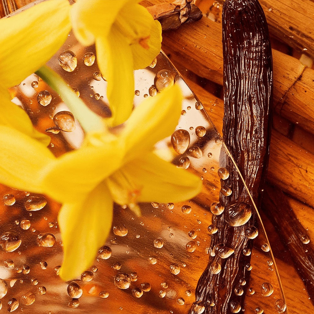 EVE NOVA/Whipped Grass-Fed Tallow Balm with Vanilla Bean