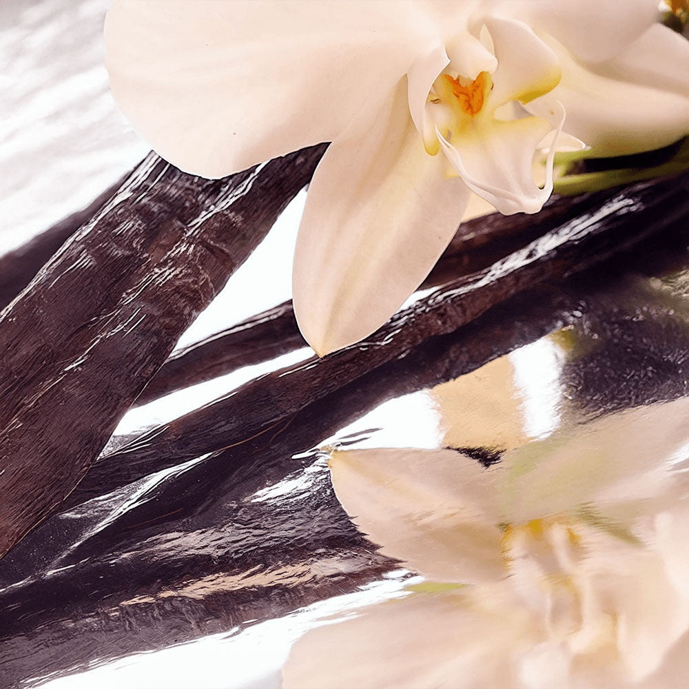 EVE NOVA/Whipped Grass-Fed Tallow Balm with Vanilla Bean